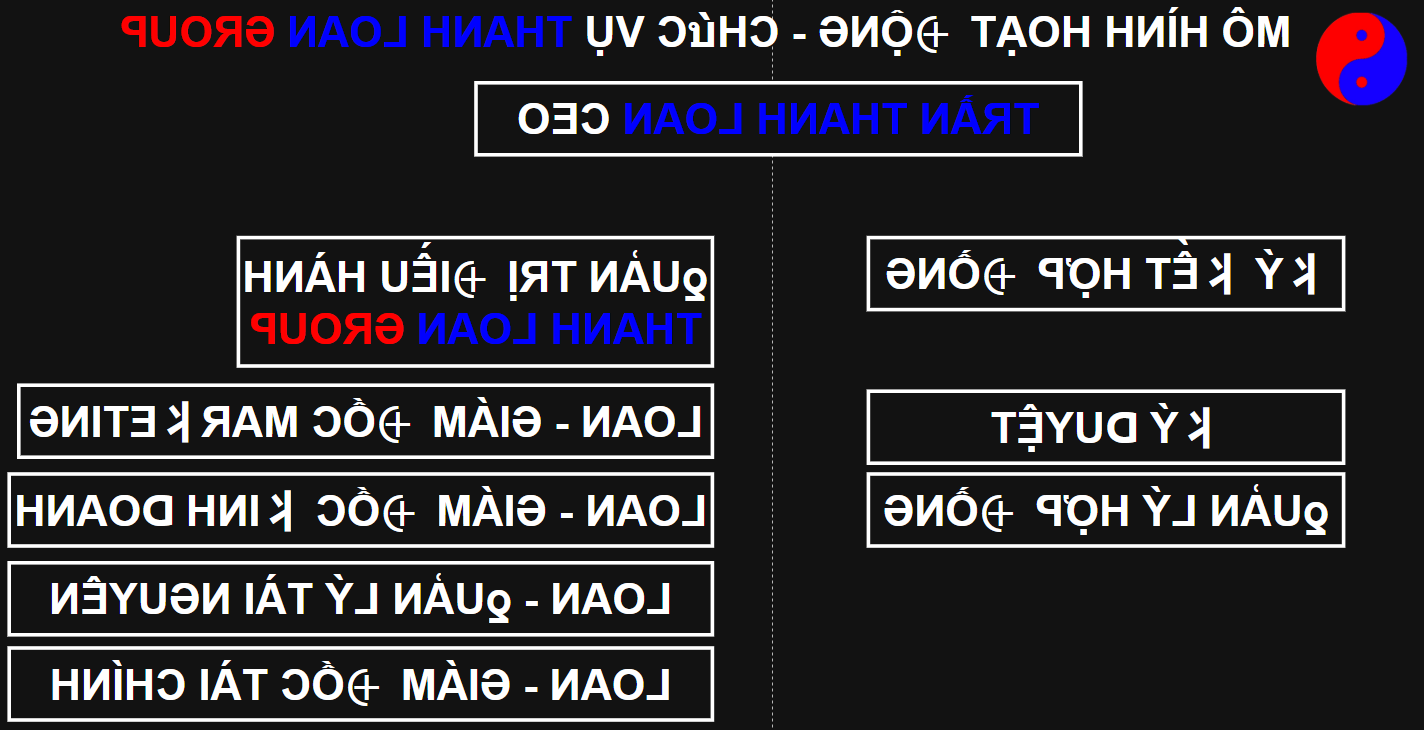 MÔ HÌNH HOẠT ĐỘNG - CHỨC VỤ THANH LOAN GROUP