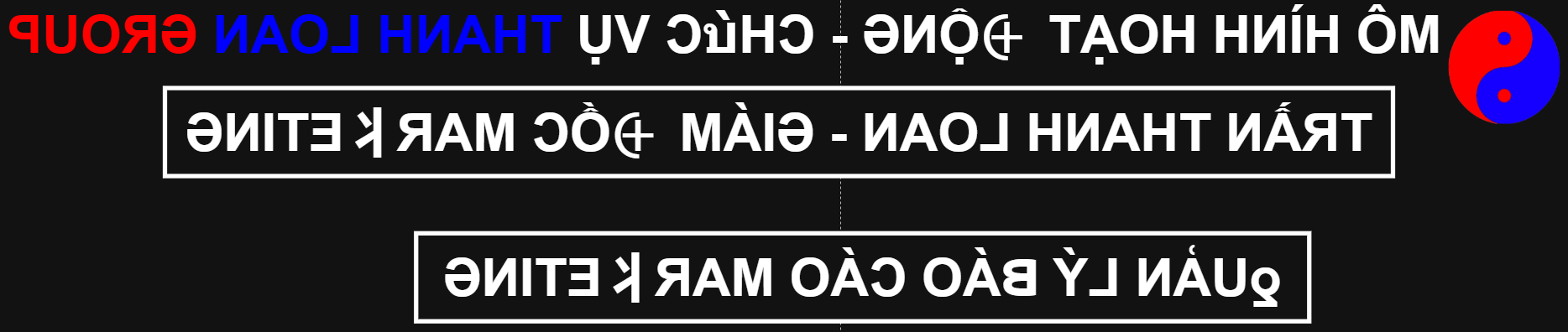 MÔ HÌNH HOẠT ĐỘNG - CHỨC VỤ THANH LOAN GROUP