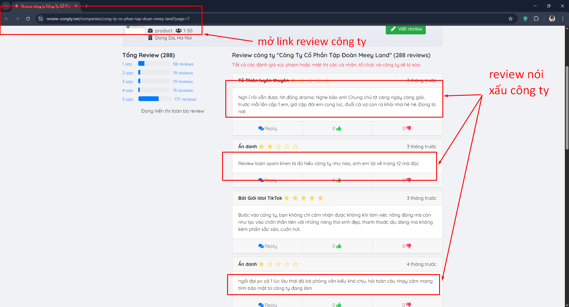 ĐÁNH GIÁ CÔNG TY REVIEW COMPANY