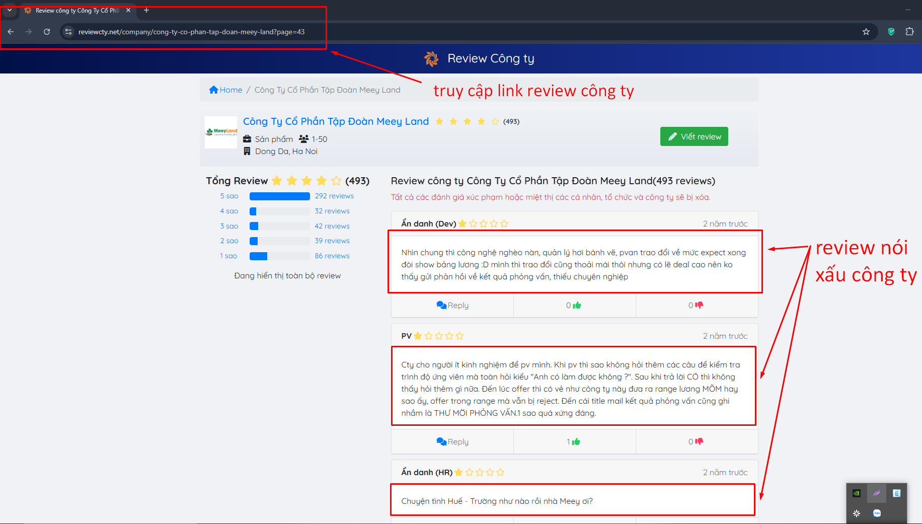 ĐÁNH GIÁ CÔNG TY REVIEW COMPANY