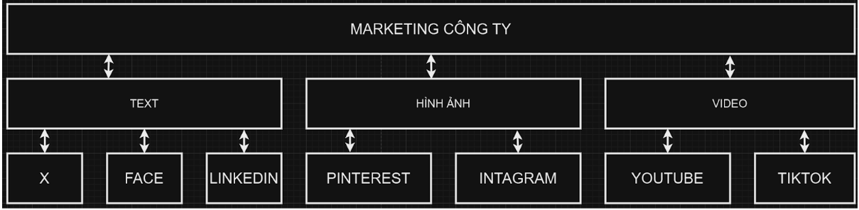 HÌNH ẢNH CÔNG TY TRẦN THANH LOAN