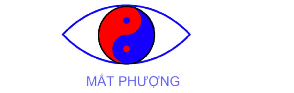 HÌNH ẢNH CÔNG TY TRẦN THANH LOAN