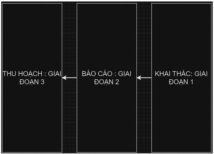 HÌNH ẢNH CÔNG TY TRẦN THANH LOAN