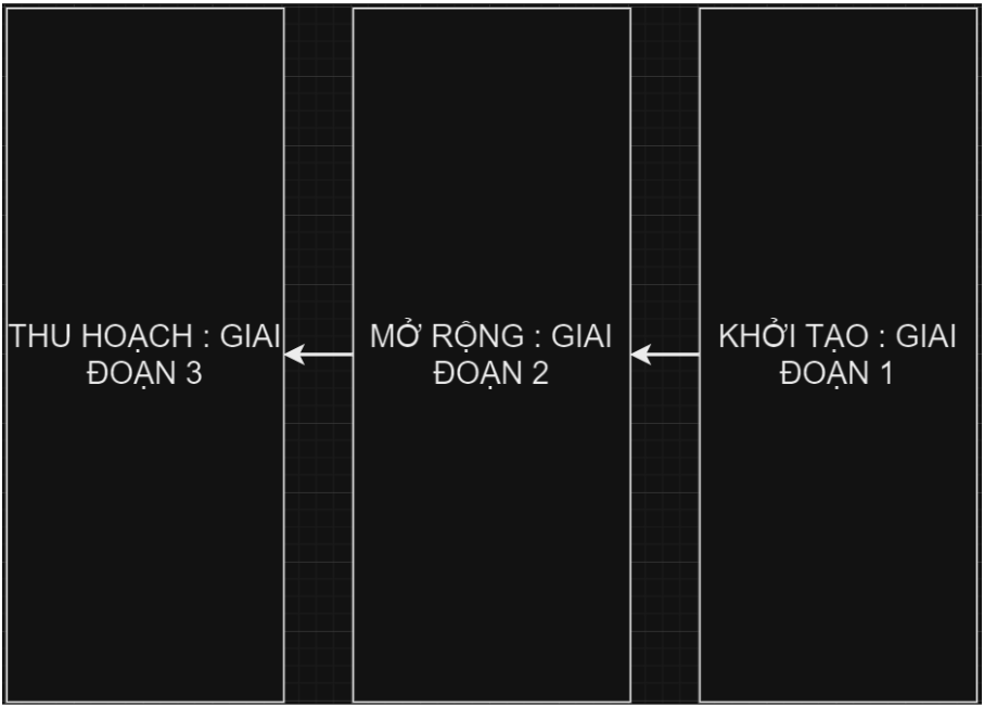 HÌNH ẢNH CÔNG TY TRẦN THANH LOAN