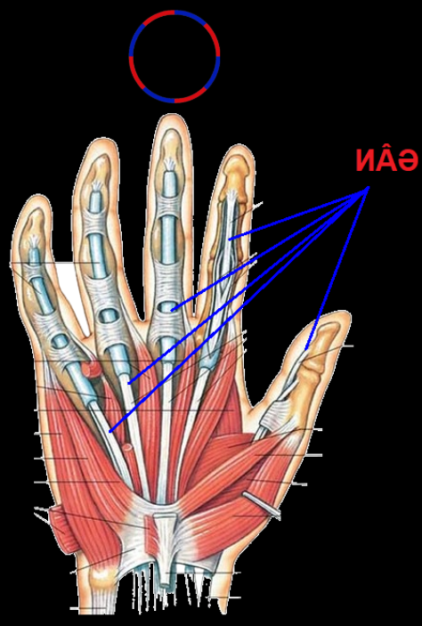 HÌNH ẢNH THANH LOAN ROBOTICS