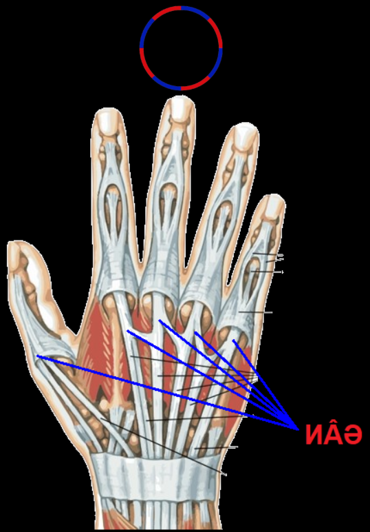 HÌNH ẢNH THANH LOAN ROBOTICS
