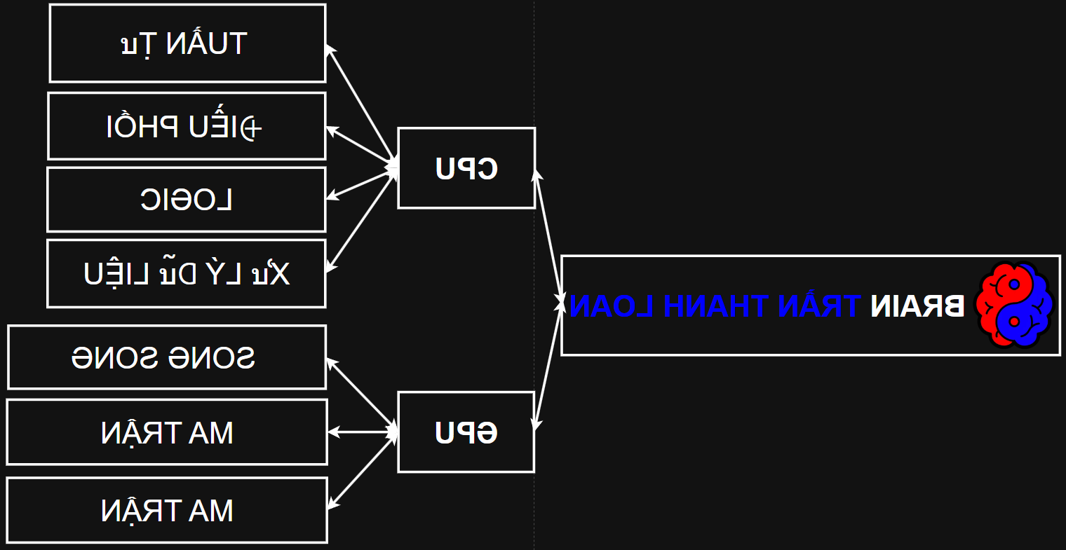 BRAIN TRẦN THANH LOAN